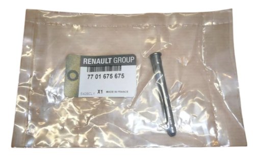 Perno della cerniera della portiera 7701675675 Renault Clio II Megane Originale Nuovo