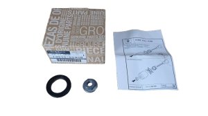 Guarnizione 28x42x6 con dado 1351000Q0B Renault Nuova originale