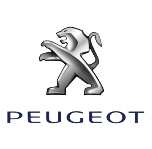 Sensore di detonazione 594623 5946.23 Citroen Peugeot 1.1/1.4/1.6VTS/1.8/2.0/2.2 Originale Nuovo