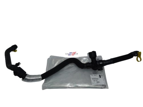 Tubo dell'acqua C5, C6, 407  2.7HDI Originale 1351KT