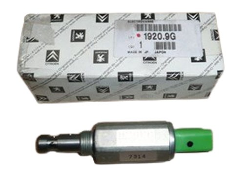 Valvola a fasatura variabile  Peugeot Citroen   2.2 9630499380