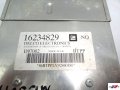 DSC00102.jpg