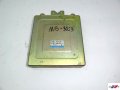 DSC00130.jpg