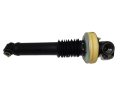 DSC00617-removebg-preview (1).jpg