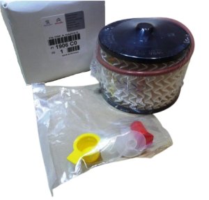Filtro carburante originale 1906C0 C4 C5 C8 308 508 807 2.0HDI