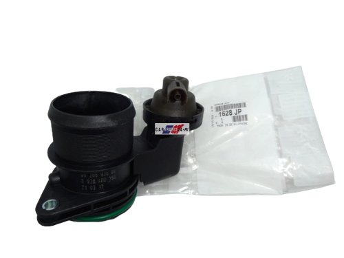 Valvola a farfalla Xsara Xsantia 2.0HDI 1628JP
