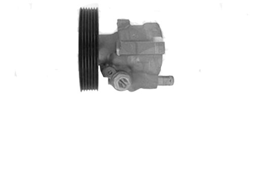 Ruota pompa 7700111040 Originale Renault R WCI 19MM 6PK 126MM