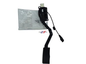 Pedale dell'acceleratore Peugeot 407 C5 C6  1601Q4