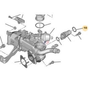 O-ring del tubo EGR  1.6HDI 1606476880 Nuovo OE PSA