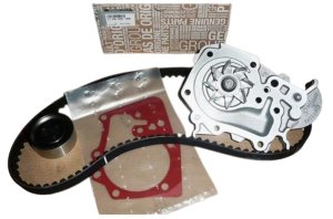 Distribuzione KPL + Pompa R Clio II 1,4/1,6 119A05019R Nuovo Originale