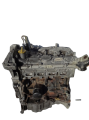 DSC00009-removebg-preview.png