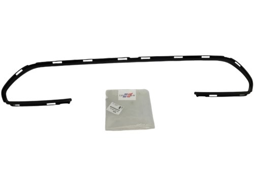 Listello paraurti 1609553880 Citroen C4 Picasso Originale