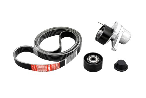 Cinghia tenditore trasmissione Master III 2,3 DCI 117207736R Nuovo Originale Renault