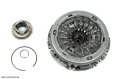 ORG 302054315R-3.jpg