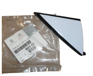 Copertura porta 9025EV  sinistra anteriore nuova originale Citroen Peugeot C4 II
