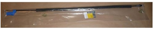 Cavo serratura 8200516256  Nuovo OE Renault Kangoo