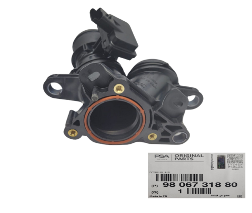 Corpo farfalla Citroen C4 9806731880 Nuovo Originale