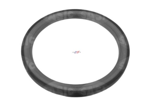 Anello di tenuta 1227900Q0D Nuovo OE Renault