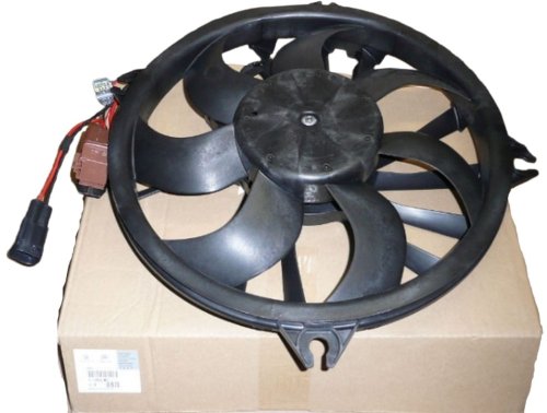 Ventola radiatore C5,407 Originale 1253N5