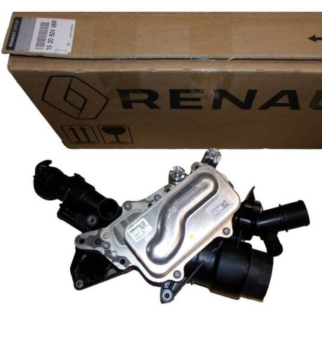 Alloggiamento filtro olio 152082406R Renault Megane IV 1.6DCI Originale
