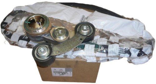 Cinghia trapezoidale Completo 1611278480 DS5 C5 508 3008