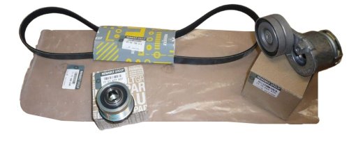 Set tenditore + cinghia 117208883R  Master 2