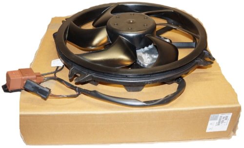 Ventola radiatore C5 407 Originale 1253R8