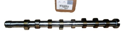 Albero a camme Citroen Peugeot Volvo 0801FC