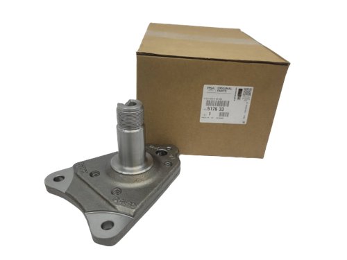 Perno cuscinetto ruota posteriore con supporto 517633 Nuovo OE PSA C3