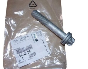 Vite ammortizzatore 503624 Nuovo OE PSA Jumper 3