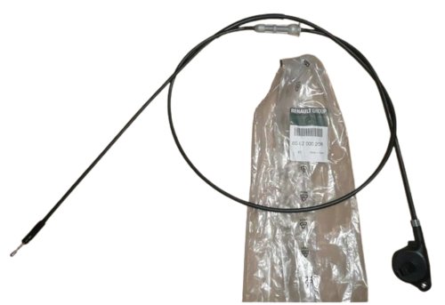 Cavo serratura anteriore 656200020R  Renault Megane III Originale