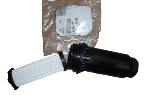 Filtro olio Peugeot Citroen Renault DW6 Originale 226709