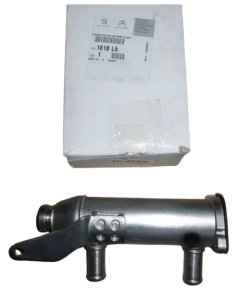 Radiatore gas di scarico 1618L5 Citroen C5 III, C6 2.7HDI Originale