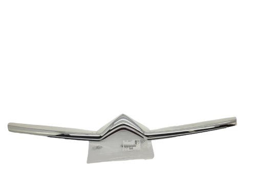 Listello cofano 9802769780 Citroen C5 III Originale