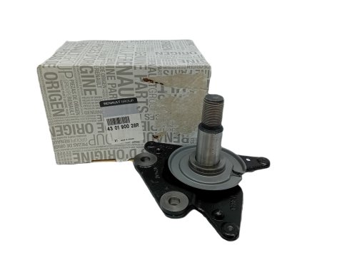 Fusello posteriore sinistro 430190028R Renault Megane III Originale