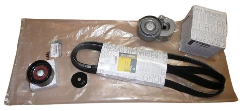 Set cinghia trapezoidale 117200713R Renault Laguna II 1.9DCI Originale