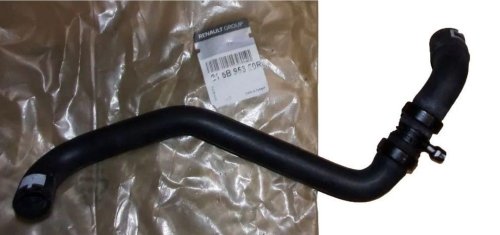 Tubo radiatore 215B95350R Renault Master III 2.3DCI Originale