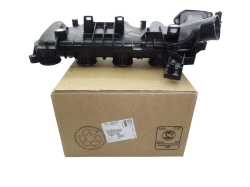 Collettore di aspirazione C4, C5, 206, 207, 407, 5008 Nuovo  0361N3
