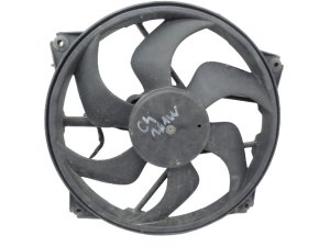 Ventola radiatore  Peugeot Citroen 1253A9