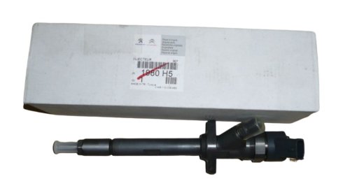 Iniettore 1980.H5 1980H5 Citroen C5 I,II,C8, Peugeot 406,407 2.2HDI Originale