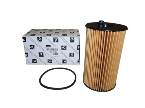 Filtro olio 1109AW 1109.AW Citroen C5 C6 Peugeot 407 607 2.7 HDI Originale