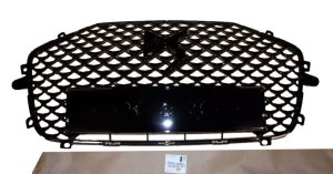 Griglia del radiatore 98208431XY Citroen DS3 Crossback  Originale