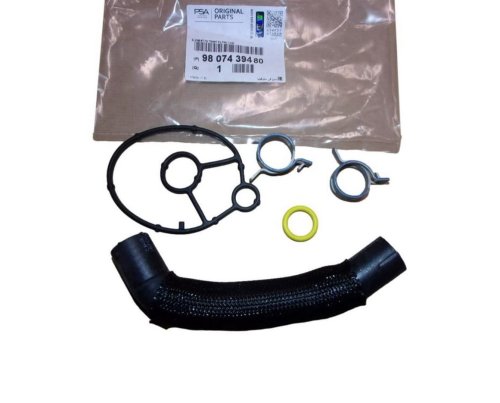 Guarnizione filtro olio 9807439480 Citroen Peugeot 2.0BLUEHDI Originale