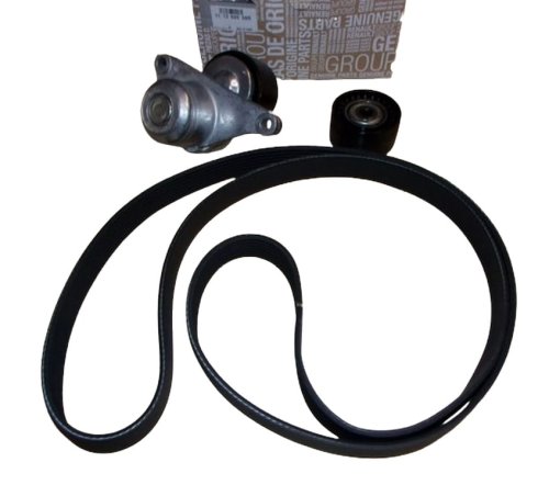 Set cinghia trapezoidale 117202056R  Renault Master III 2.3DCI Originale
