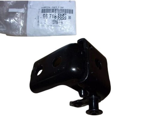 Cerniera porta posteriore destra 9671886880 Citroen C3 III Originale