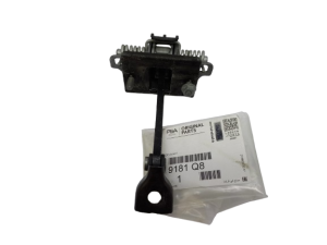 Limitatore porta anteriore 9181Q8 Citroen DS3 Originale