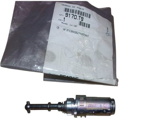 Inserto serratura 9170.T9 9170T9 Citroen C3 II Originale