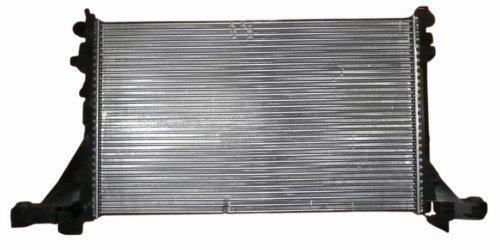 Radiatore acqua 214101169R Renault Master III Originale