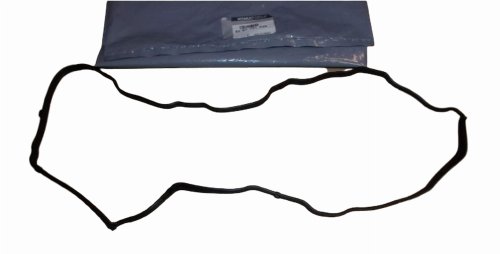 Guarnizione collettore di aspirazione 8201721558 Renault Megane IV Originale