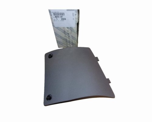 Sportello vano portaoggetti 8231AT 8231.AT Citroen Jumper III Originale